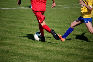 乐鱼电竞-世界皮划艇世界杯中国男队勇摘银牌，世界皮划艇冠军男子