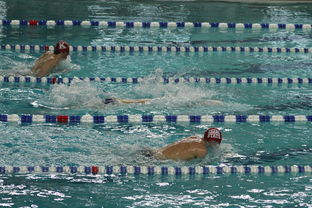 LEYU乐鱼体育官方网站-世界短池游泳锦标赛多项世界纪录诞生，第一届世界短池游泳锦标赛