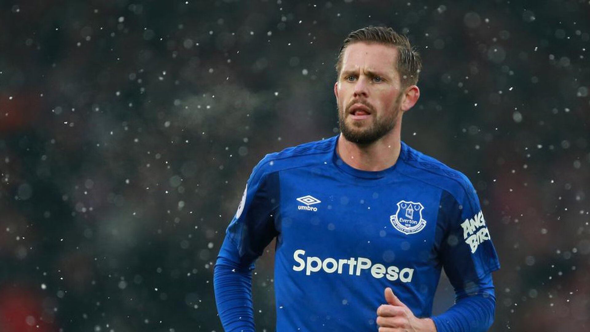 接下来就看樊振东VS卡尔松了，谁能更进一步？，樊振东对波尔战绩